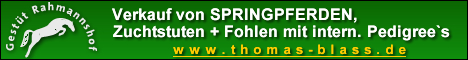 Sporthorses